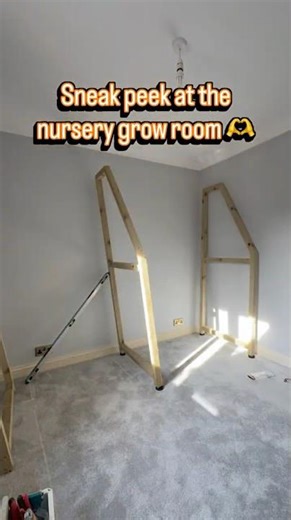 Grow Room Setup Build | Installing Shelving & LED Grow Lights (Timelapse)