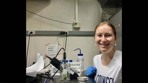 Our 2026 Research Experiences for Undergraduates application is now open! This 10-week experience provides undergraduate students with an opportunity to engage in research and professional development with a community of researchers. Visit https://reu.btiscience.org/ to learn more and apply! Applications are open until February 2, 2026. | Boyce Thompson Institute