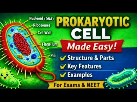 PROKARYOTIC CELL STRUCTURE AND ITS FUNCTION WITH EXAMPLE | EASY EXPLANATION | B.Sc. | CUET PG | NEET