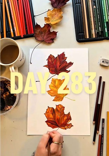 Exploring Autumn Leaves Through Daily Drawings