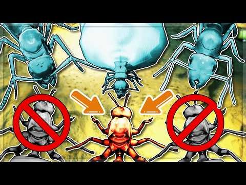 THREE GIGANTIC Ant Armies Battle ONE Queen Ant Army in Empires Of The Undergrowth
