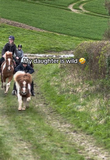Wild #shetland #pony #racing #fun #gallop
