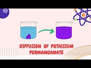 Diffusion of Potassium Permanganate — LearnStalk Chemistry