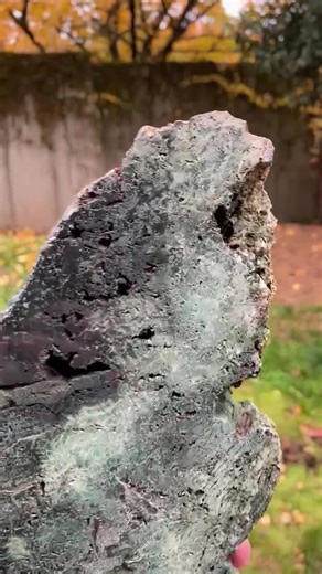 Large Green Petrified Wood, Jasper, Hampton Butte, Cut and Polished - Etsy