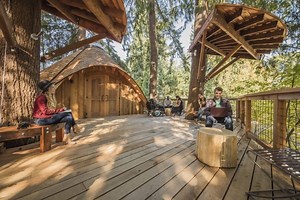 Microsoft’s new treehouse meeting spaces take advantage of nature around its sprawling campus