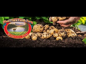 Wood Prairie Family Farm Tour