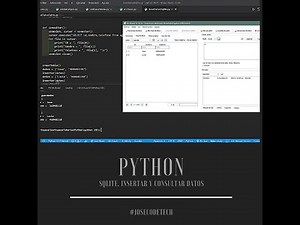 32 SQLite insertar y consultar datos con Python