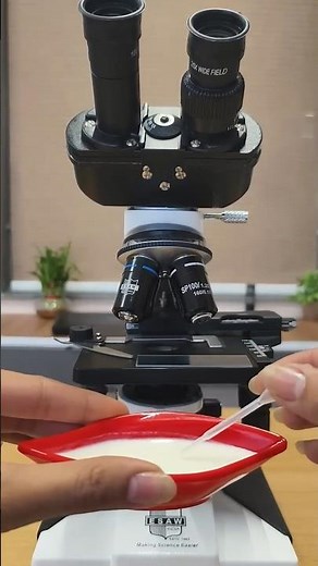 Milk Under Microscope 😱 What’s Inside? 🔬🥛#microscope #micro #biology #youtubeshorts