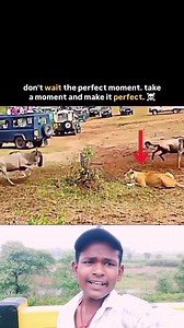 2.6K reactions | #Bahut #THA #bad #Baithkar #Bebas #Tamasha #Raja #bhi #dekhne se #shikar #nahin #pahle #hota hai #mere #Bhai se #pyar #karne #silverjewellery #vyakti #ke #liye #kaleja #KABHI #chahie | Bihar Wala Aadalat Kumar | Facebook