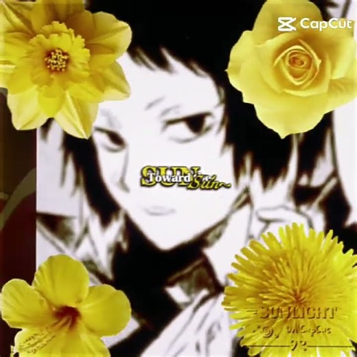 《Let the shadows fall behind》#akutagawa #bsd #anime 