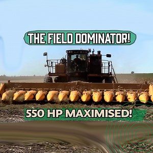 An Oxbo in Full Action Harvesting Carrots 🌱 | Harvest Heroes