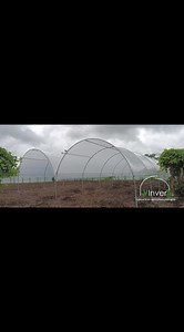 Una opción muy utilizada para proyectos de agricultura orgánica. Macro túneles de hasta 5m de ancho disponibles.🥦 Llámenos al 8355-73-31. WhatsApp: 8946 4050 | Invera Invernaderos