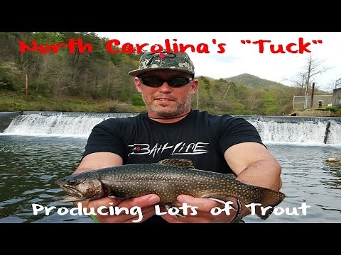 Trout Fishing North Carolina's Tuckasegee River