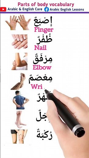 Parts of body vocabulary for beginners