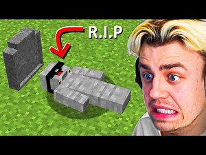 Alphastein ist GESTORBEN in Craft Attack 13 (Tschüss Rosemondy, Papaplatte, merleperle)