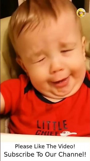 Funny Baby Vines - Funny Babies Life #1542
