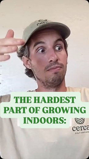 Indoor pest control: The monitoring method actually works Managing pests indoors without harsh chemicals comes down to one thing: vigilant monitoring. Check twice daily, look under every leaf, and remove any insects you find immediately. It’s demanding work. This level of attention is why many indoor growers eventually turn to synthetic pest management. The daily monitoring approach requires serious commitment. But if you want to avoid harsher chemicals or even organic pesticide products, consis
