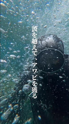 【アワビ】 天然アワビを獲る瞬間！海の中のリアルを公開 #アワビ #素潜り #越前海岸 #海の幸 #魚屋の喰い処まつ田
