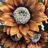 Fake Sunflowers Artificial Flowers Bulk - 18In Fall Sunflowers Large Artificial Sunflowers with Stems Realistic for Indoor Outdoors Home Decor（White,2Pcs）