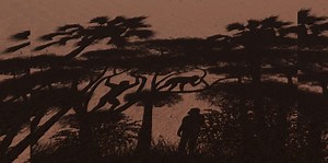 Nos ancêtres pouvaient déjà marcher il y a 7 millions d'années !