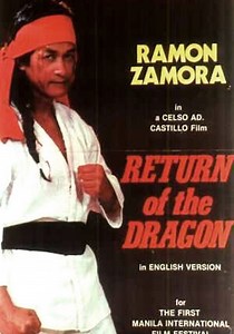 Revenge of the Dragon streaming: where to watch online?