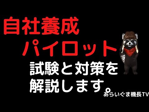 自社養成パイロットの試験とその対策について説明します。