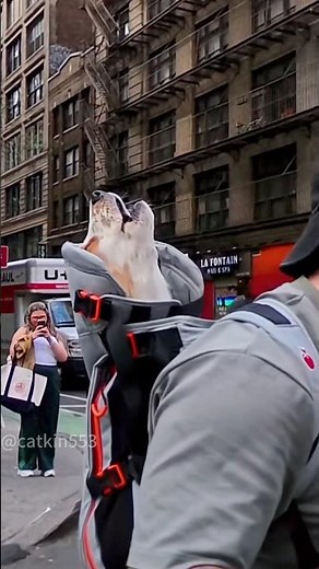 Dogs Making WEIRDEST Noises! (Real Life Compilation) #DogSounds #DogTalk #FunnyPets