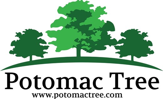 Potomac Tree and Shrub Care | Leesburg VA