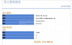 XtraReports创建计算字段和自定义报告外观