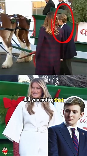 Melania’s Three Silent Christmas Clues Reveal Something Deeply Wrong — And No One Saw It 😱 | The Mysterines