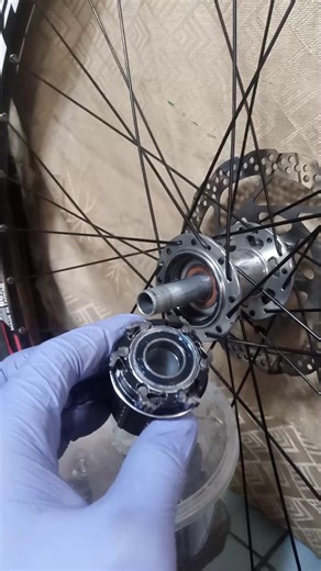 Quick and Easy Freehub Body Installation for Your Bike . . #BikeMaintenance #FreehubInstallation #CyclingTips #BikeRepair #DIYBike #BikeHub #CyclingHowTo #BicycleMechanics #BikeTutorial #QuickBikeFix #BikeTech #CyclingDIY #FreehubBody #BikeCassette #EasyBikeRepair #Reels #JayAngeloDeOcera | Gelo The Mekaniko