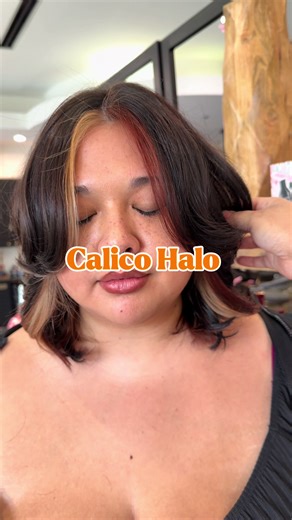 Calico but make it Lower maintenance!! 🥰🫶 For color used @Matrix Protected by @K18 Hair #chunkyhighlights #calico #colorblock #duluthhairstylist #hairinspo