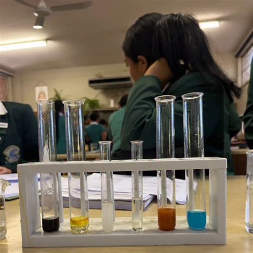 Eunice High School on Instagram: "FUN IN LIFE SCIENCES The Grade 10 and 11 learners had an absolute blast in their Life Sciences practicals, especially on Valentine’s Day! The Grade 10s even created a fun and engaging food test video! They investigated glucose, starch, lipids, and protein in various organic substances. Meanwhile, the Grade 11s explored the fascinating world of microscopy, learning about mould and algae by testing bread and pond water. What an exciting hands-on learning experienc