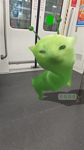 Taking my alien cat to metro