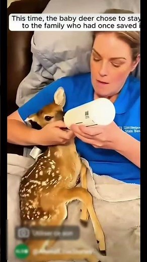 this man saved this little gazelle , what happened next was ... 🥹🙏♥️