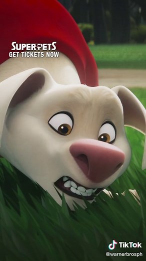 Black Adam’s dog, ANUBIS⚡️ has a few choice words for Superman's dog, KRYPTO. Enjoy DC League of Super-Pets in cinemas now. #NowShowing #WhatToWatch