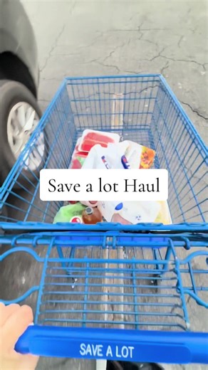 Save A Lot Haul: Budget Grocery Shopping Tips
