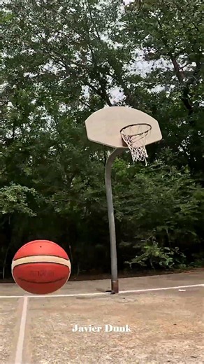 I Found a Basketball Court in the FOREST? 🤯🌲🏀 #shorts #basketball