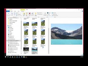 How to print conteact sheets in Window