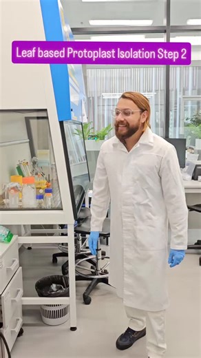 Yawar Habib on Instagram: "Leaf based protoplast Isolation - Step II Filtering the overnight culture and centrifugation ... . . . . . . Follow @_iamywr__ for more such informative content. #biotechnology #researcher #dna #protoplast #phdlife #viralreels #graduatestudent #india #fyi #labskills #moscow #viral #stem #stemeducation #science #scientist #scienceteacher #engineering"