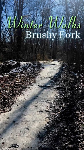 3.5K views · 58 reactions | There’s no such thing as a bad view when you’re exploring the Brushy Fork trails! #bereaky #BereaCollege #outdooradventure #Outdoors #hiking #getoutside #kentucky #kentuckytourism | Berea Tourism | Facebook