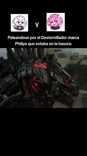 Pelea por el Destornillador Marca Philips en la Basura