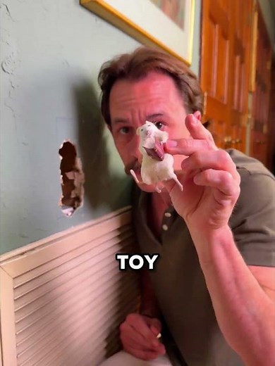 He Built The Cutest Hidden Room Ever!