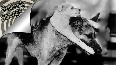 130K views · 1.7K reactions | 3 Craziest Science Experiments |...