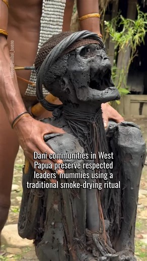 Woandercopia on Instagram: "Deep in the Baliem Valley of West Papua, Indonesia, certain villages have maintained the remains of their most revered chiefs and warriors for hundreds of years. Unlike the chemical embalming used in Ancient Egypt, the Dani utilized a smoke-curing process. The bodies were placed over a slow-burning fire in a specialized hut, where the heat and smoke gradually dehydrated the tissues and blackened the skin, creating a resilient, leathery finish that resists decay in the