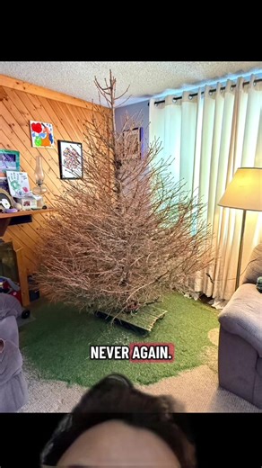 Christmas Fail Moments: Hilarious Holiday Stories