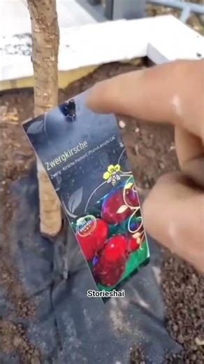 weired sound 🥴 #shorts #sound #funny