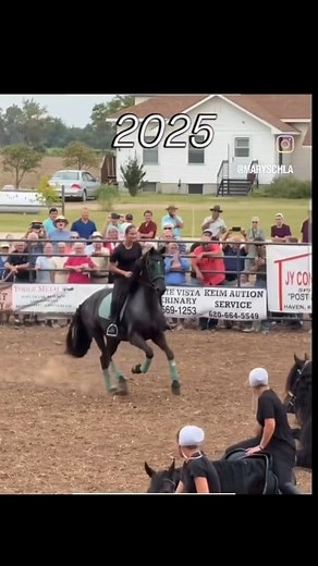 8.8K views · 210 reactions | I'll always be glad I took the chance...