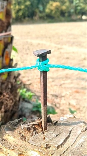 wow..DIY Tool Storage Ideas That Actually Work!..