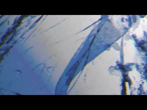 aerokii - d:eluge [breakcore*speedcore]